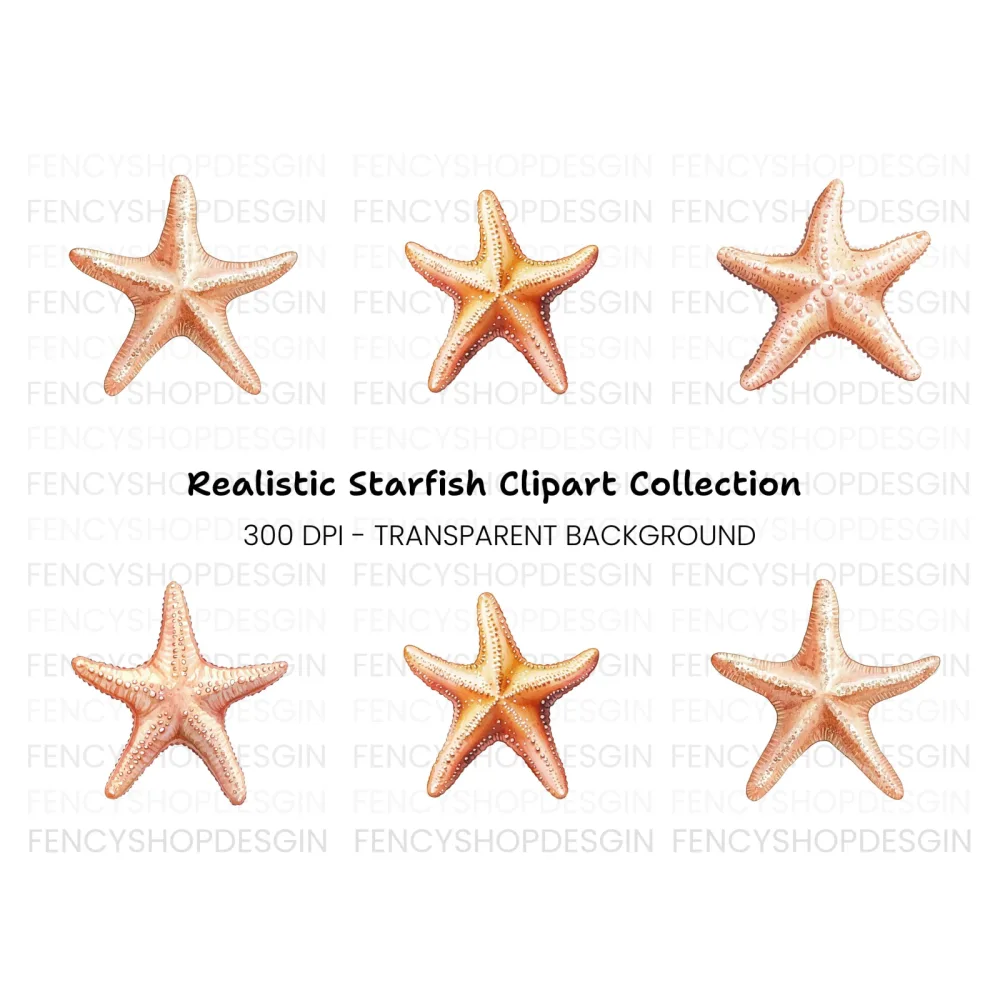 Starfish Clipart Bundle