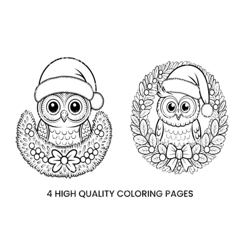 Christmas Owl WreathFun Coloring Books