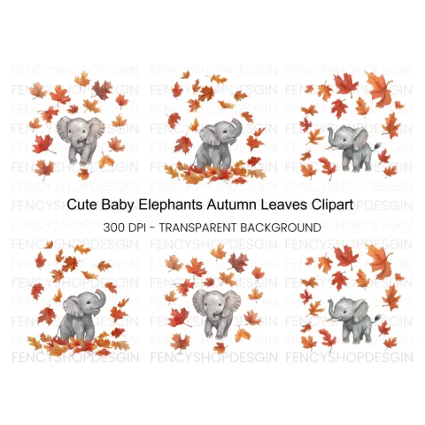 Baby Elephant Autumn Leaves Clipart Bundle