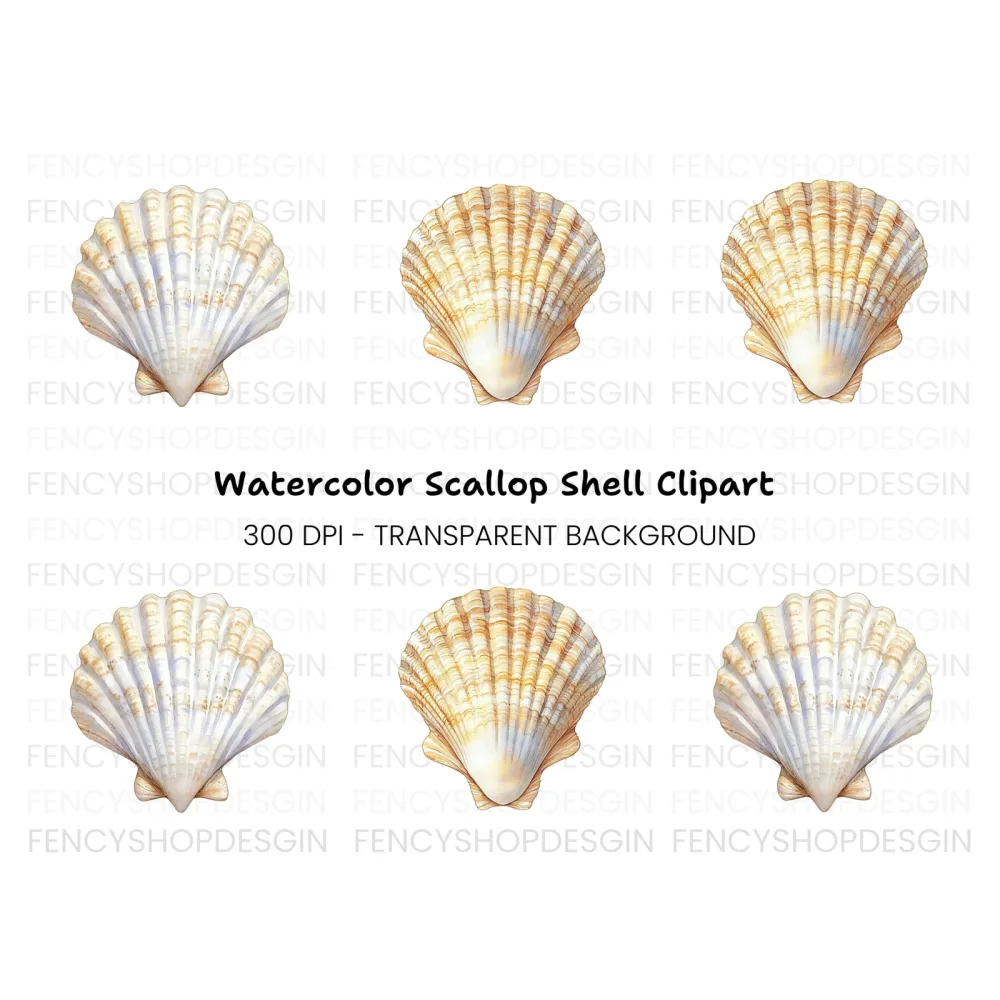 Scallop Shells Clipart Bundle
