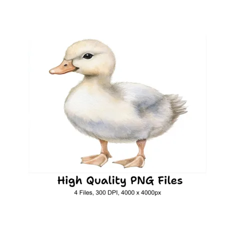 Adorable Duckling Clipart Bundle
