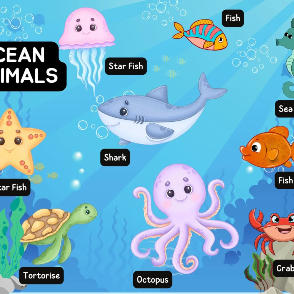 Kids Learning Binder Activity Book