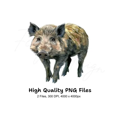 Wild Boar Clipart Bundle
