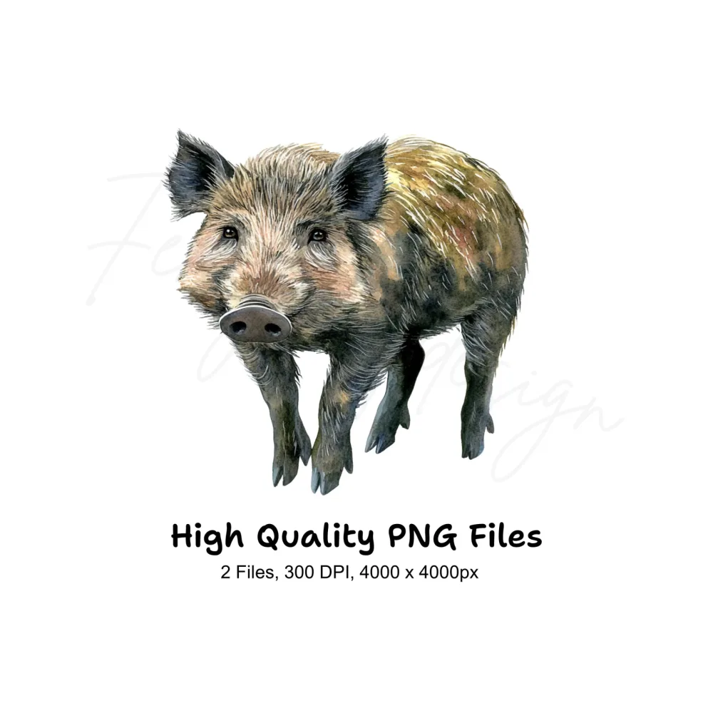 Wild Boar Clipart Bundle