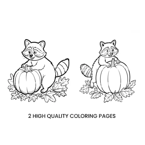Cute Raccoon Pumpkin Coloring Books