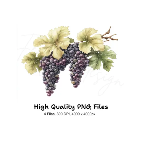 Grape Vine Clipart Bundle