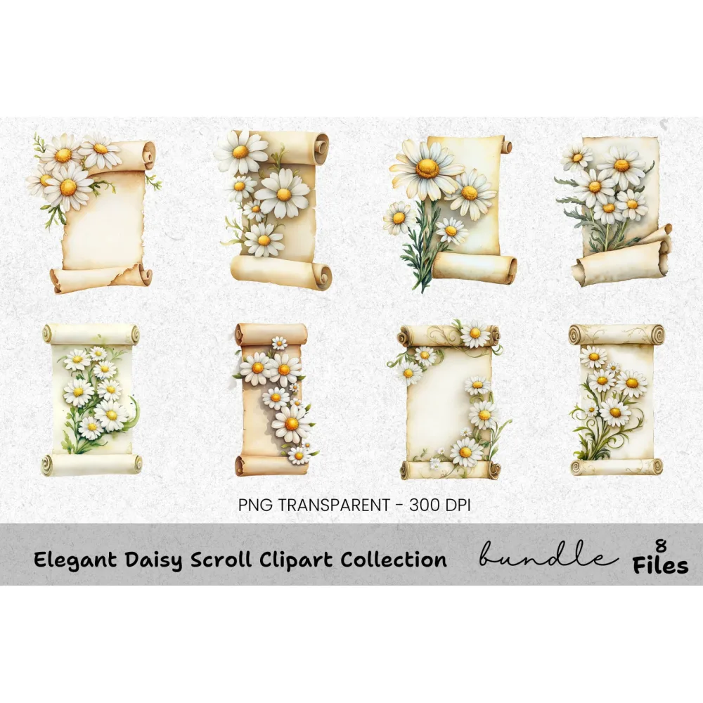 Elegant Daisy Scroll Clipart Bundle