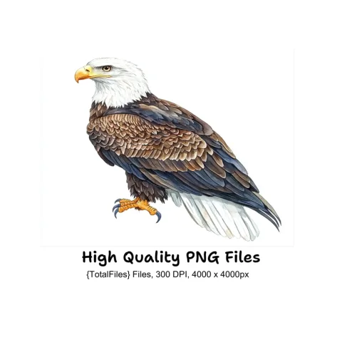 Bald Eagle Clipart Bundle