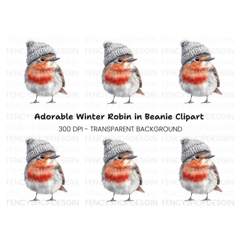 Charming Robin with Beanie Clipart Bundle