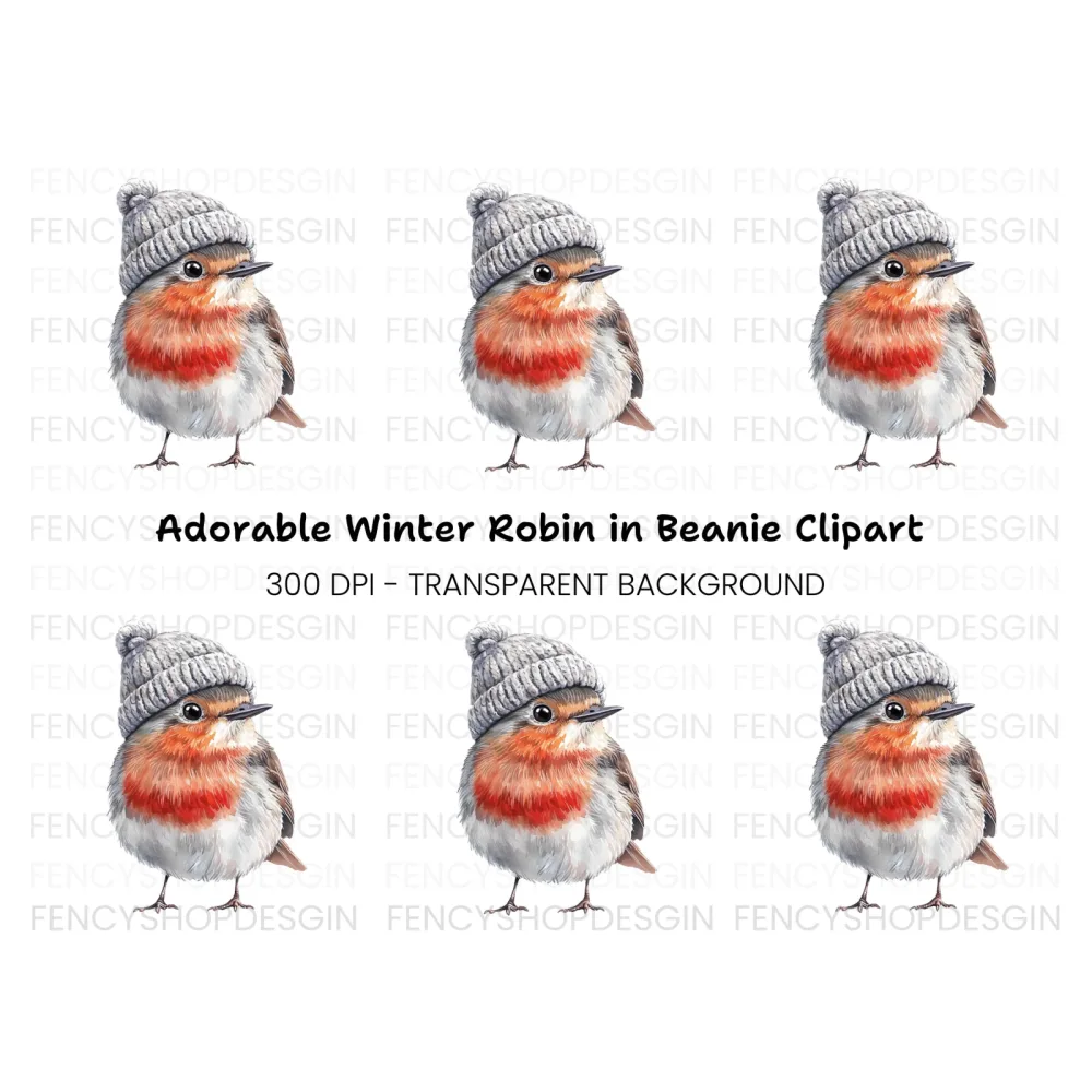 Charming Robin with Beanie Clipart Bundle
