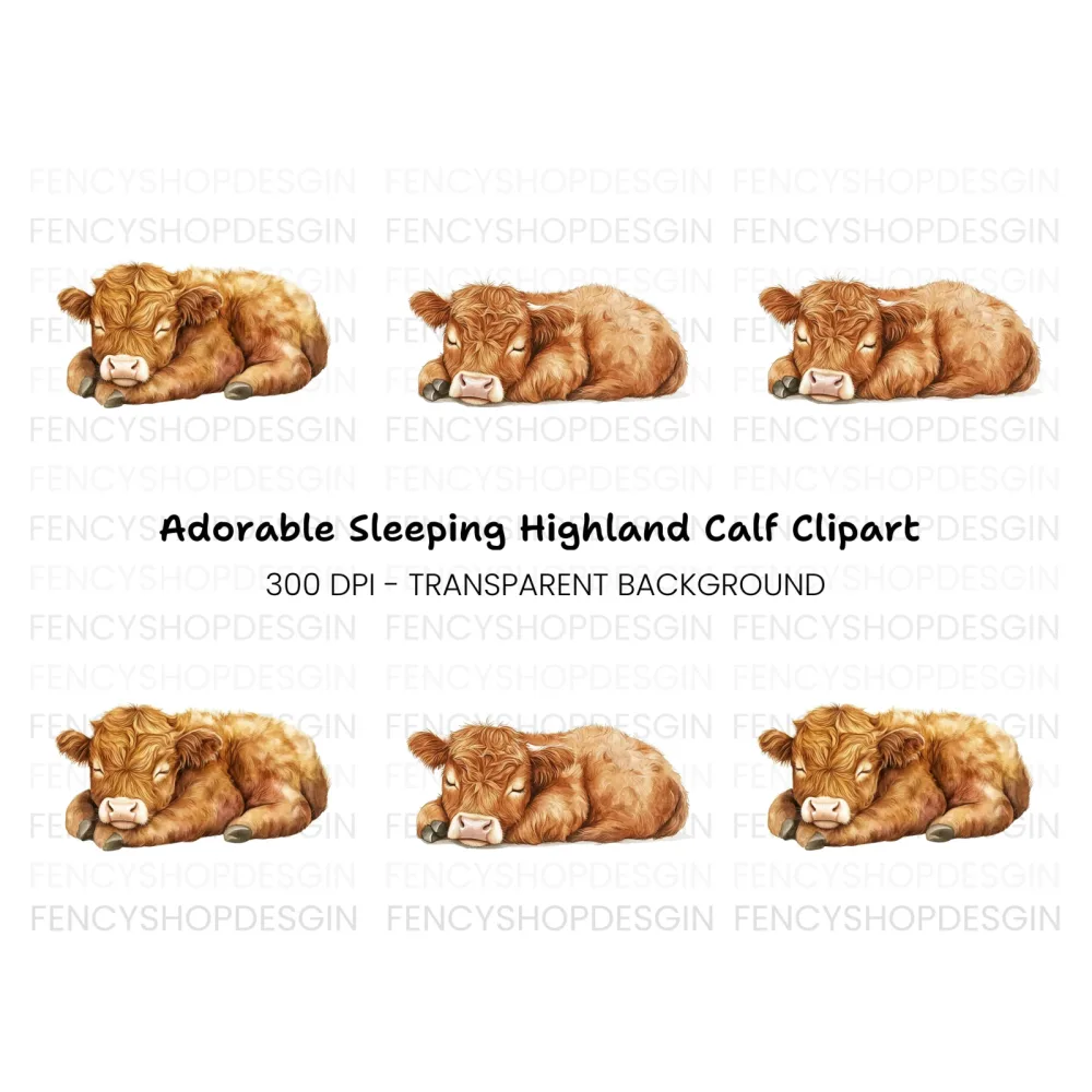 Sleeping Highland Calf Clipart Bundle