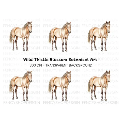 Palomino Horse Clipart Bundle