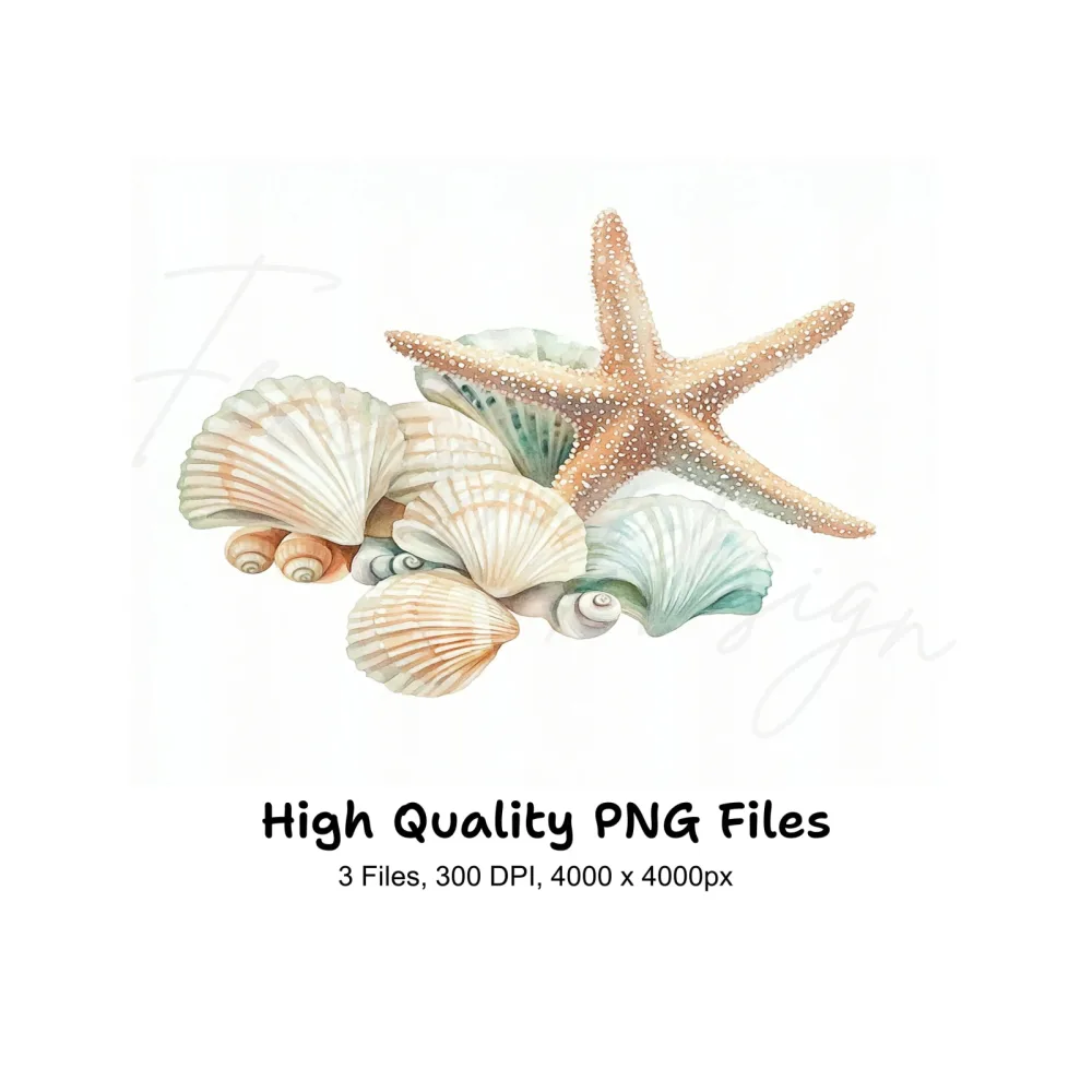 Starfish and Seashells Clipart Bundle