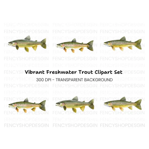 Realistic Brown Trout Fish Clipart Bundle