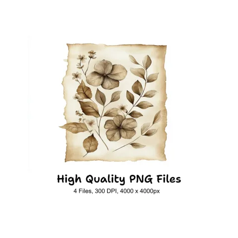 Vintage Floral Scroll Clipart Bundle