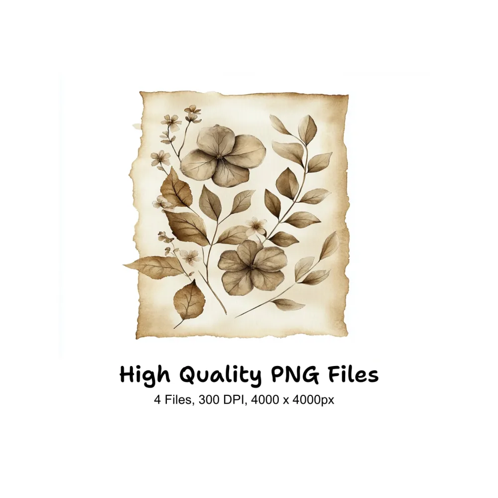 Vintage Floral Scroll Clipart Bundle