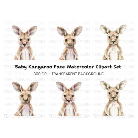 Cute Baby Kangaroo Clipart Bundle