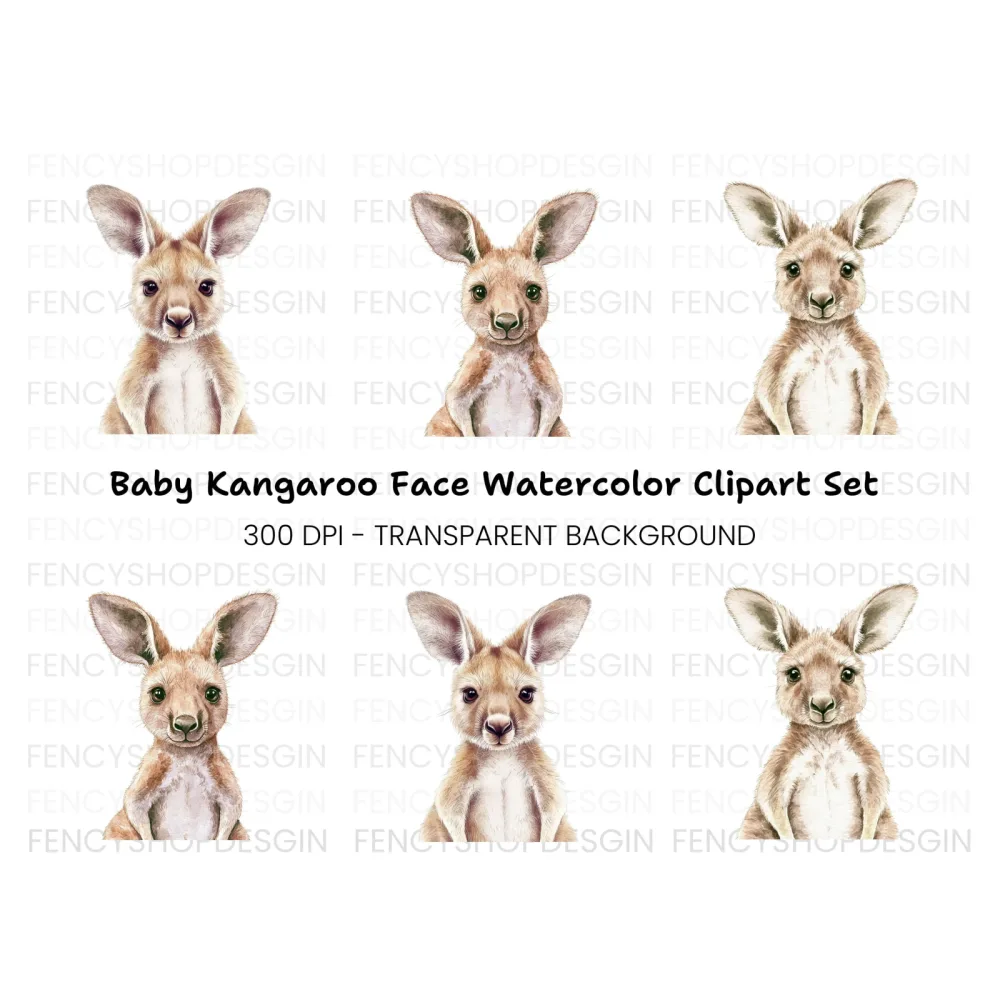 Cute Baby Kangaroo Clipart Bundle