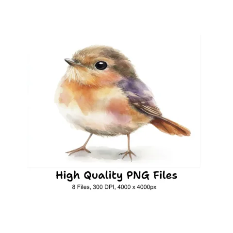 Adorable Bird Illustrations Clipart Bundle
