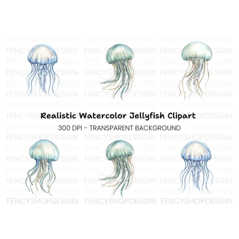 Colorful Jellyfish Clipart Bundle
