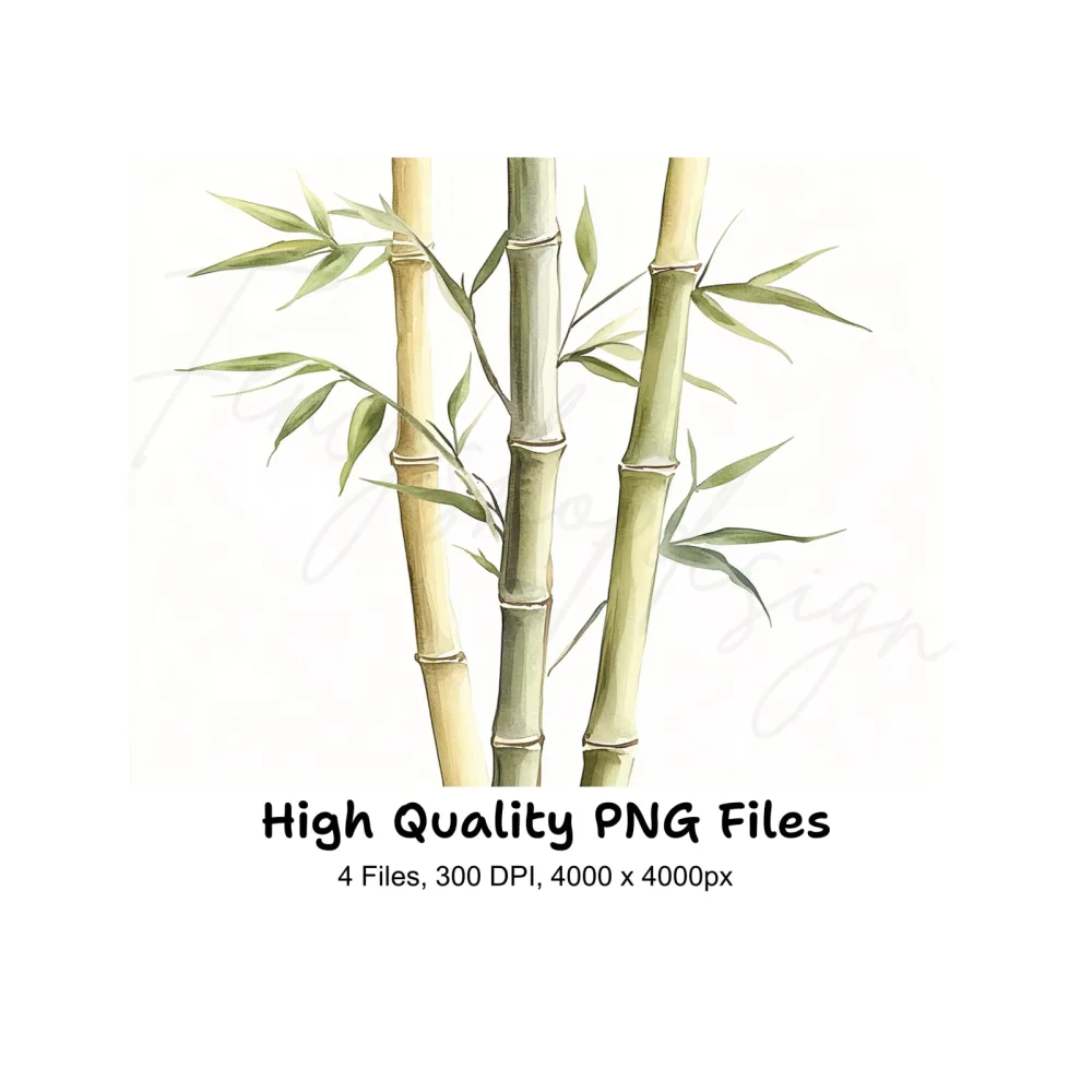 Bamboo Stalks Clipart Bundle