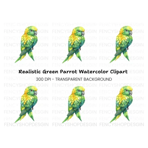 Green and Yellow Parrot Clipart Bundle
