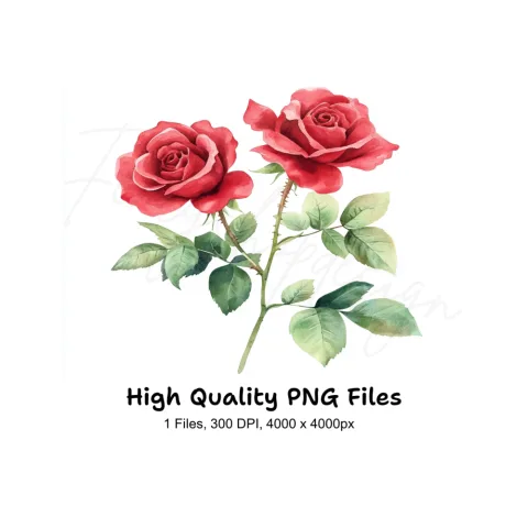 Red Roses Clipart Bundle