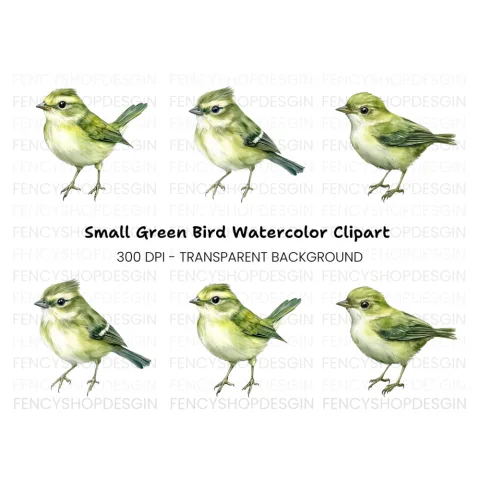 Little Green Bird Clipart Bundle