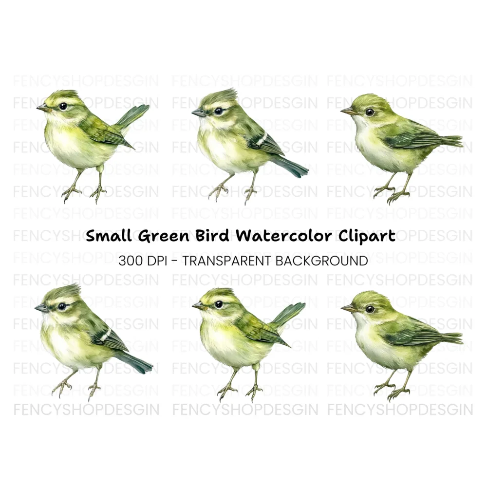 Little Green Bird Clipart Bundle