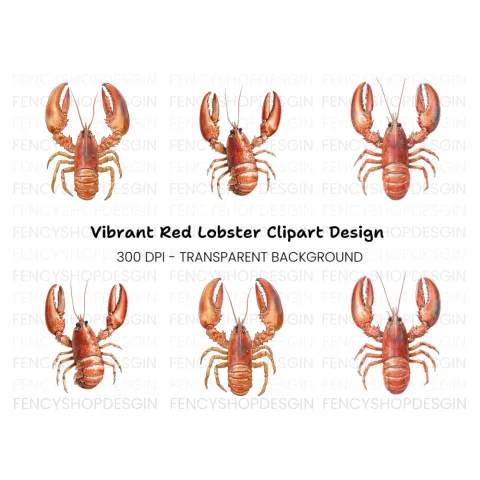 Detailed Lobster Clipart Bundle
