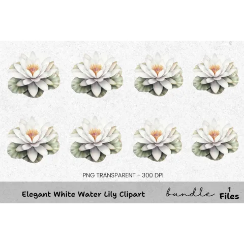 Elegant White Water Lily Clipart Bundle