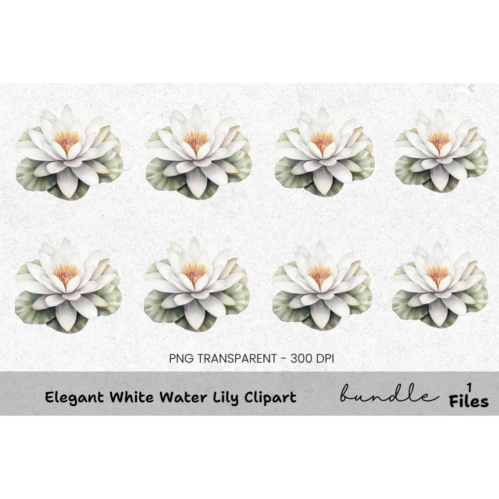Elegant White Water Lily Clipart Bundle