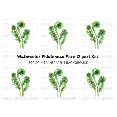 Fiddlehead Ferns Clipart Bundle