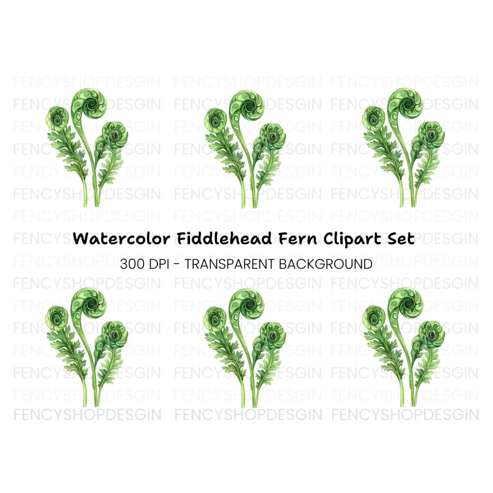 Fiddlehead Ferns Clipart Bundle