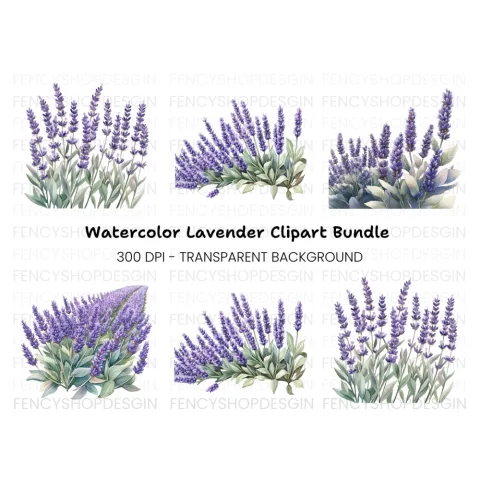 Beautiful Lavender Clipart Bundle