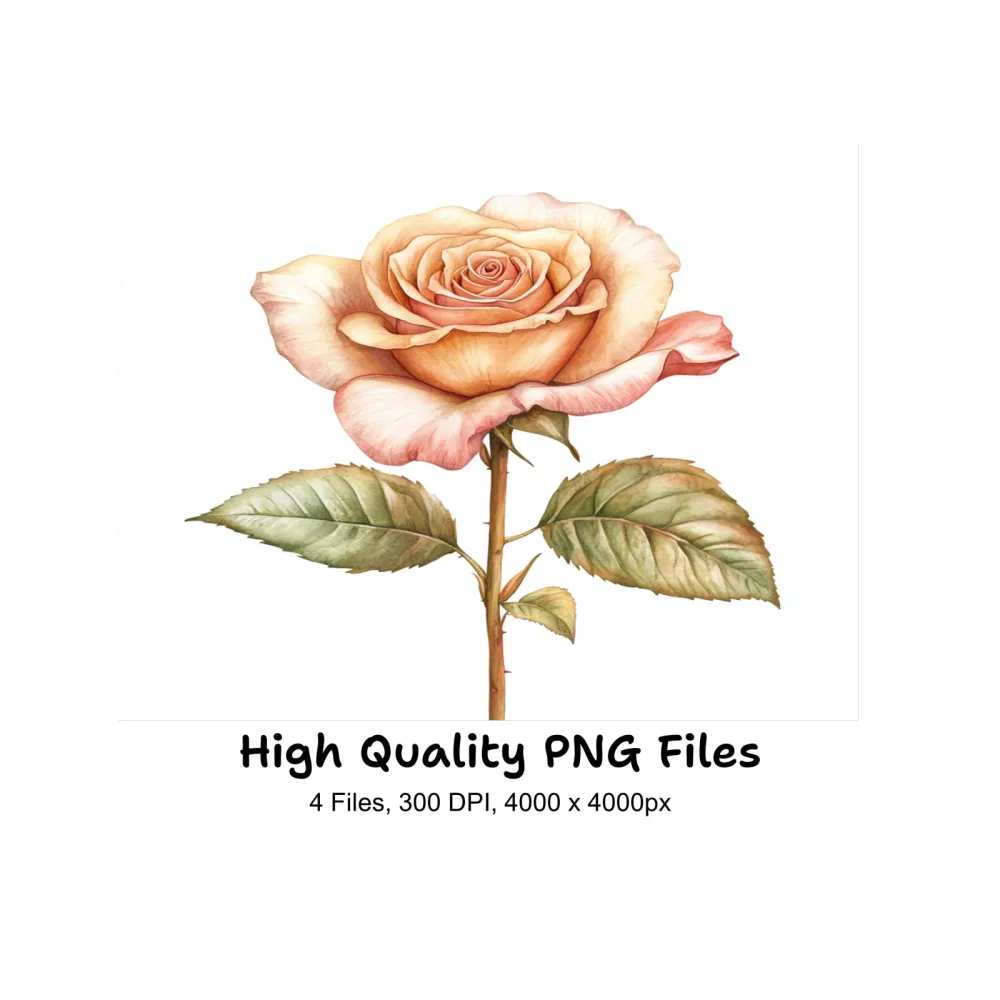 Elegant Peach Rose Clipart Bundle