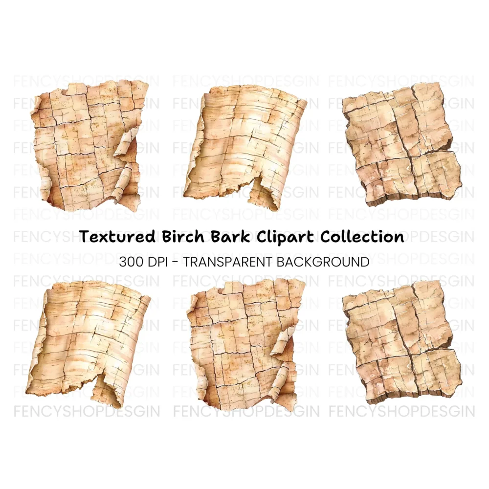 Birch Bark Clipart Bundle