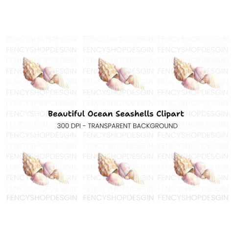 Assorted Beach Shells Clipart Bundle