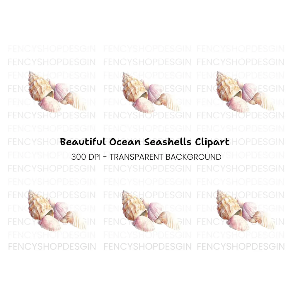 Assorted Beach Shells Clipart Bundle