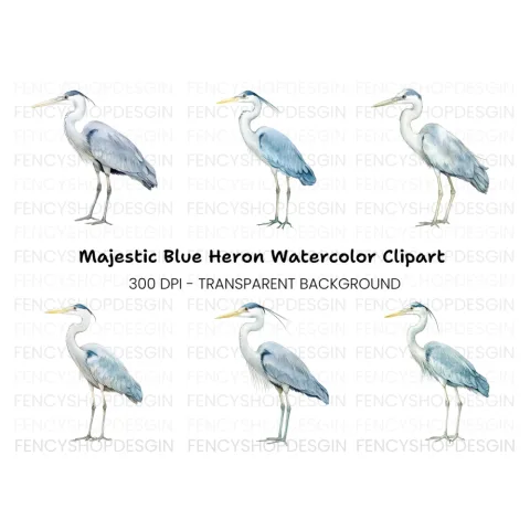 Elegant Grey Heron Bird Clipart Bundle