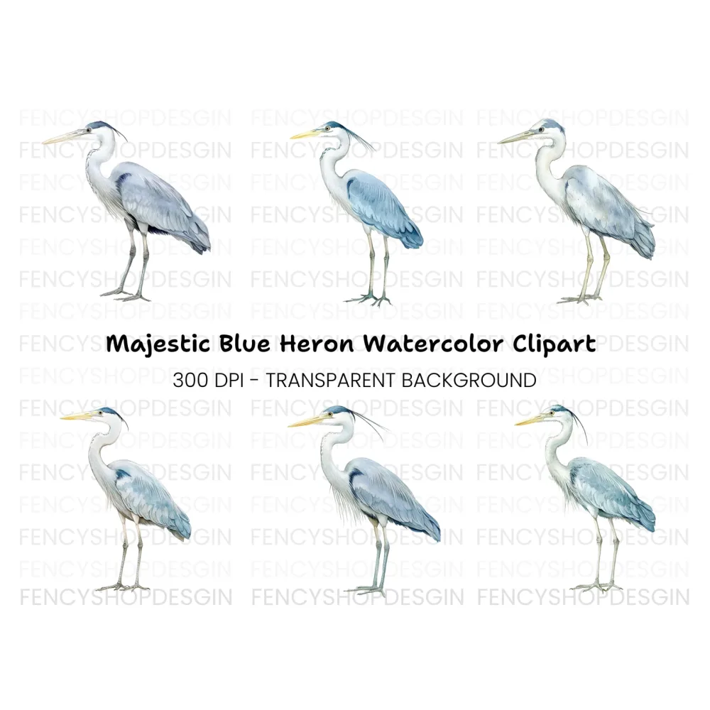 Elegant Grey Heron Bird Clipart Bundle