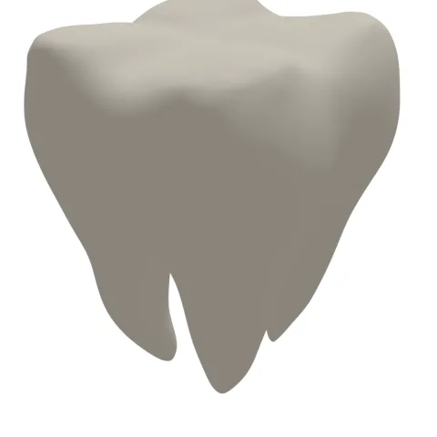 Tooth 3D Print STL File