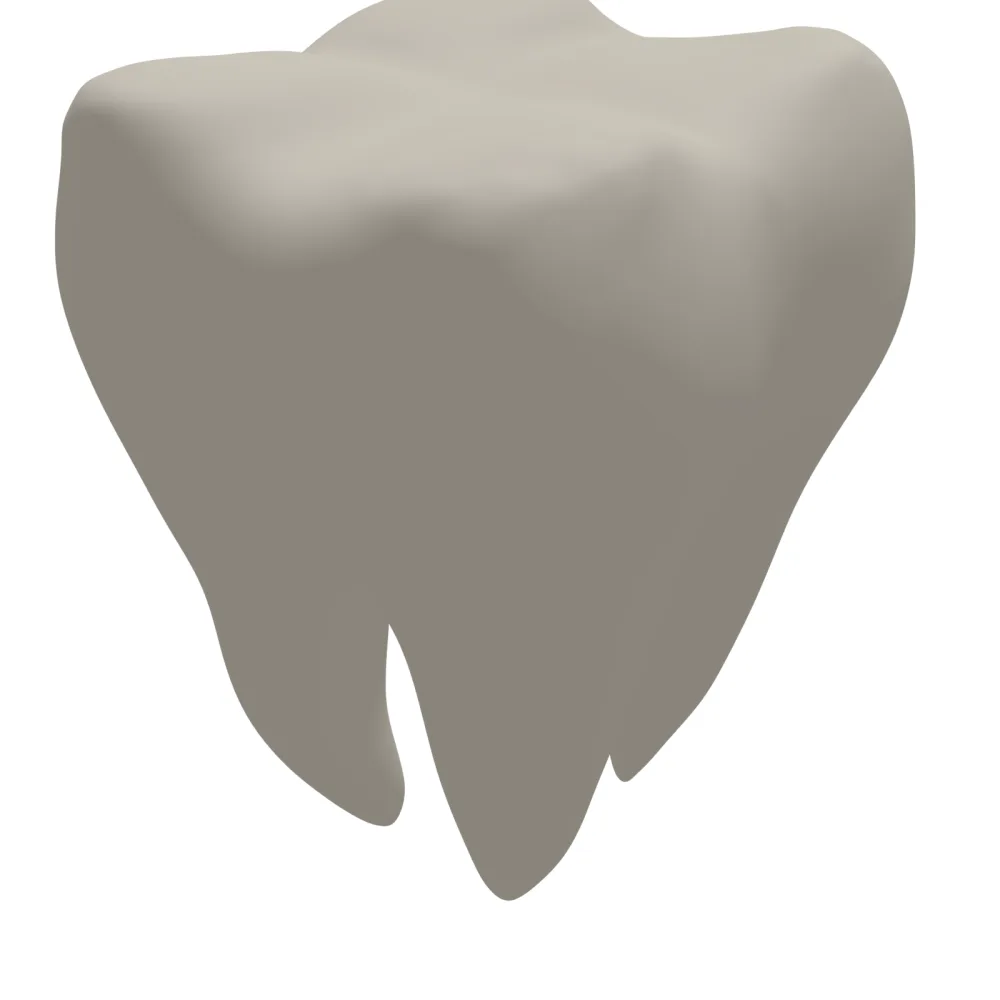 Tooth 3D Print STL File