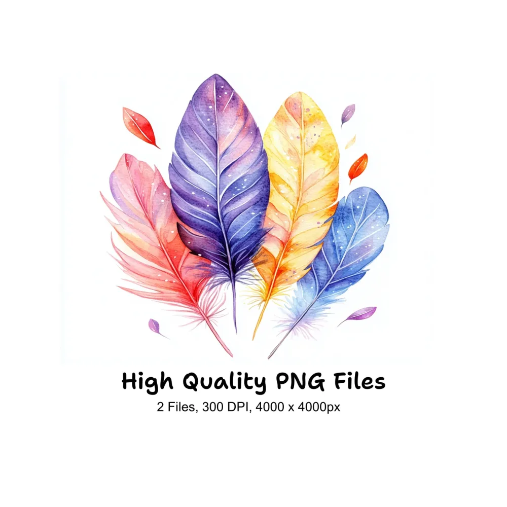 Colorful Feather Arrangement Clipart Bundle
