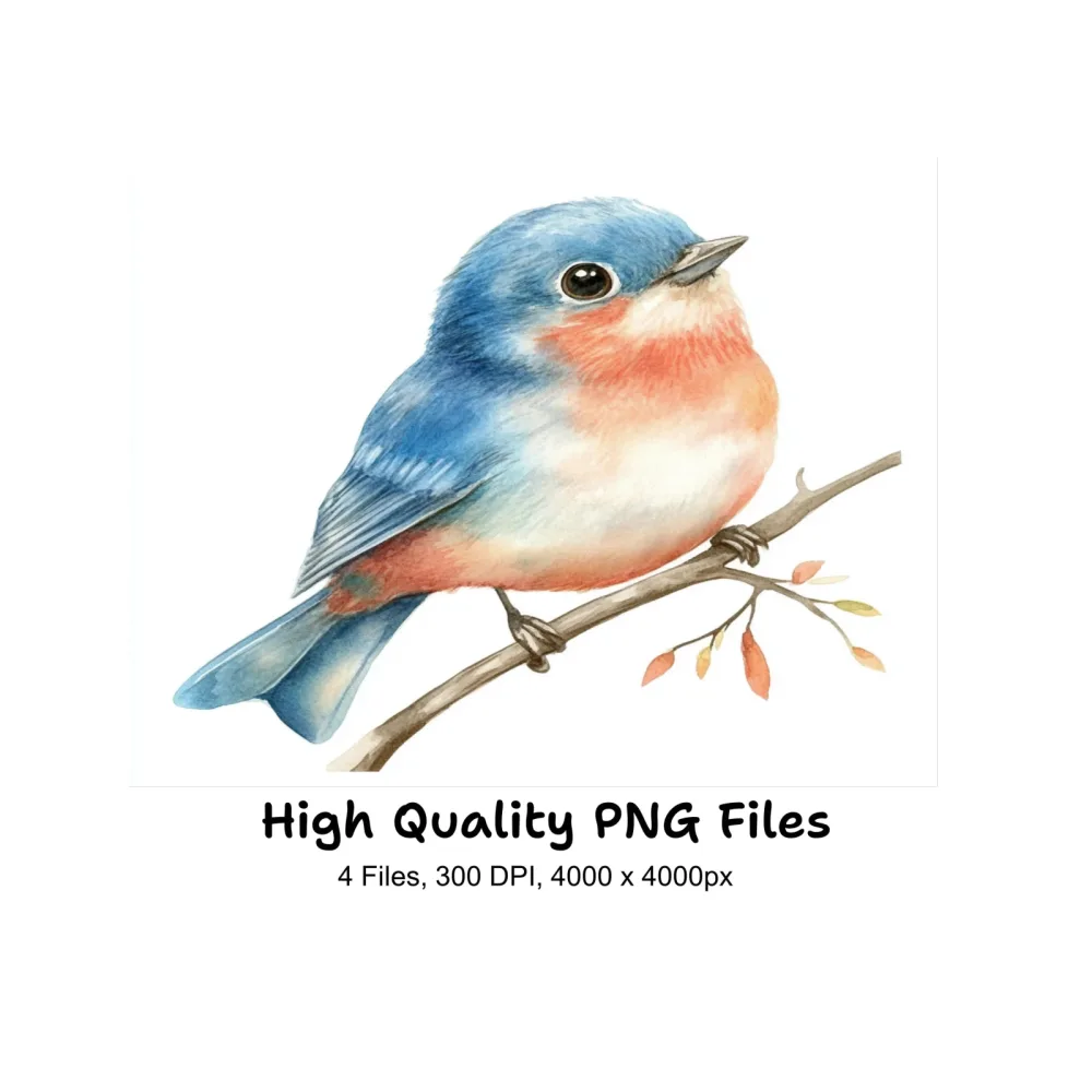 Cute Birds Clipart Bundle