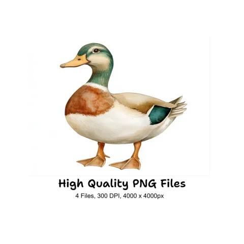 Adorable Duck Clipart Bundle