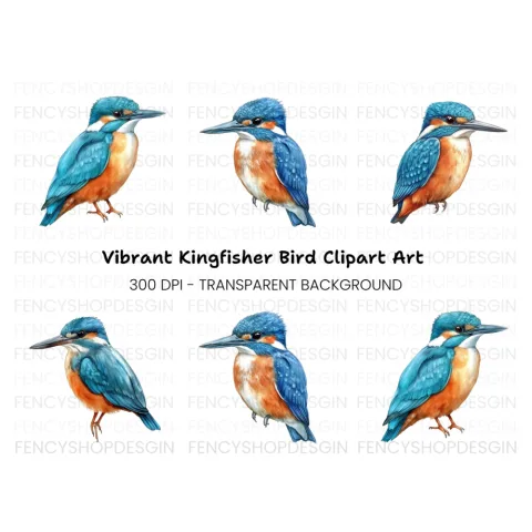 Vibrant Kingfisher Clipart Bundle