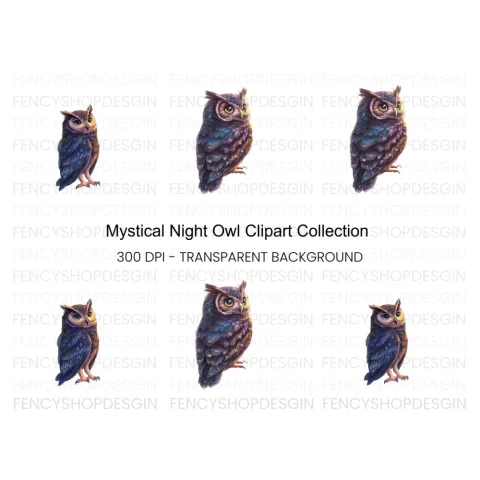 Mystical Owl Clipart Bundle