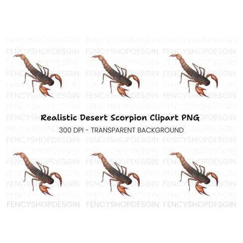 Realistic Scorpion Insect Clipart Bundle