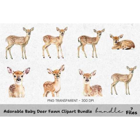 Adorable Baby Deer Fawn Clipart Bundle